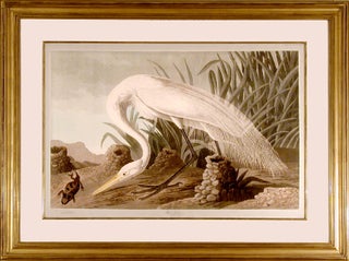 Item #4370 White Heron [Great Egret]. John James AUDUBON