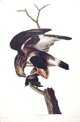 Item #7511 Rough-legged Falcon. From "The Birds of America" (Amsterdam Edition). John James AUDUBON