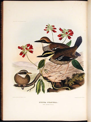 Item #17290 A Monograph of the Pittidae, or, Family of Ant Thrushes. Daniel Giraud ELLIOT