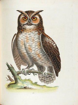 A Natural History of Uncommon Birds, and of Some Other Rare and Undescribed Animals