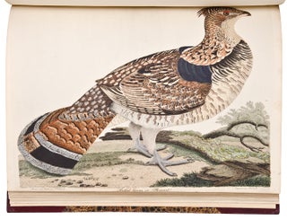 American Ornithology; or the Natural History of the Birds of the United States. Illustrated with plates engraved and coloured from original drawings taken from nature