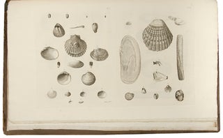 Catalogues of the birds, shells, and some of the more rare plants, of Dorsetshire. From the new and enlarged edition of Mr. Hutchins’s history of that county ... With additions; and a brief memoir of the author
