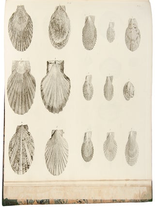 Catalogues of the birds, shells, and some of the more rare plants, of Dorsetshire. From the new and enlarged edition of Mr. Hutchins’s history of that county ... With additions; and a brief memoir of the author