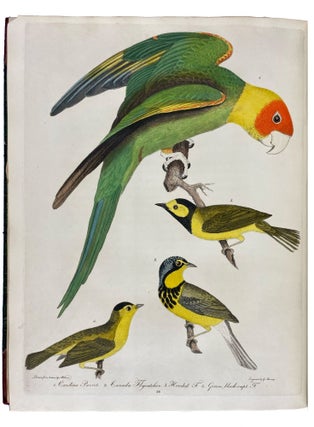 American Ornithology; or, the Natural History of the Birds of the United States: Illustrated with Plates Engraved and Colored from Original Drawings Taken from Nature. Volumes I-IX