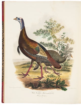 Item #34816 American Ornithology; or, the Natural History of Birds inhabiting the United States,...