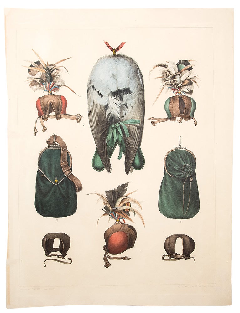Item #36594 [Pair of hand colored plates from Traité de Fauconnerie, depicting falconry accoutrements]. Hermann SCHLEGEL.