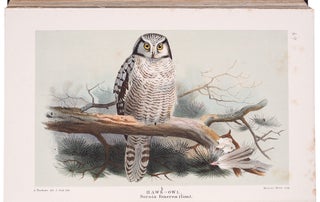 Coloured Figures of the Birds of the British Islands