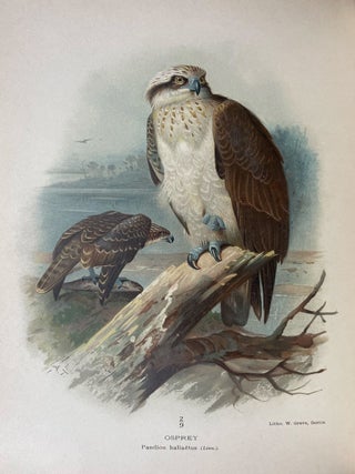 Coloured Figures of the Birds of the British Islands
