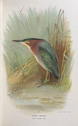 Coloured Figures of the Birds of the British Islands