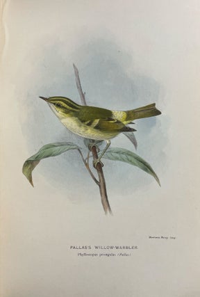 Coloured Figures of the Birds of the British Islands