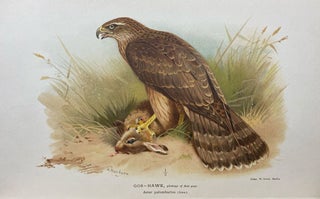 Coloured Figures of the Birds of the British Islands