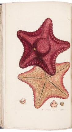 The British Miscellany: or Colored Figures of New, Rare, or Little Known Animal Subjects; many not before ascertained to be inhabitants of the British Isles
