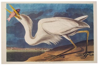 Item #39854 Great White Heron. From "The Birds of America" (Tokyo Edition). John James...