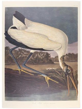Item #39855 Wood Ibis. From "The Birds of America" (Tokyo Edition). John James AUDUBON