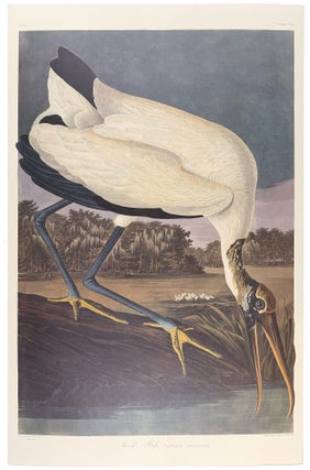 Item #39855 Wood Ibis. From "The Birds of America" (Tokyo Edition). John James AUDUBON