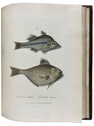 Journal of a Voyage to new South Wales with Sixty-five Plates of Non descript Animals, Birds, Lizards, Serpents, curious Cones of Trees and other Natural Productions