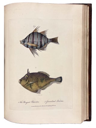 Journal of a Voyage to new South Wales with Sixty-five Plates of Non descript Animals, Birds, Lizards, Serpents, curious Cones of Trees and other Natural Productions