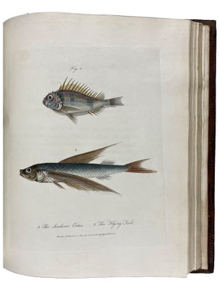 Journal of a Voyage to new South Wales with Sixty-five Plates of Non descript Animals, Birds, Lizards, Serpents, curious Cones of Trees and other Natural Productions