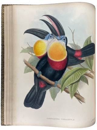 Item #40873 A Monograph of the Ramphastidae, or Family of Toucans. John GOULD