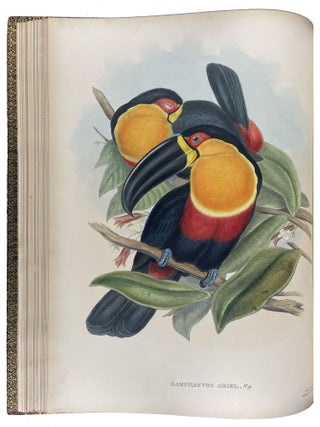 A Monograph of the Ramphastidae, or Family of Toucans