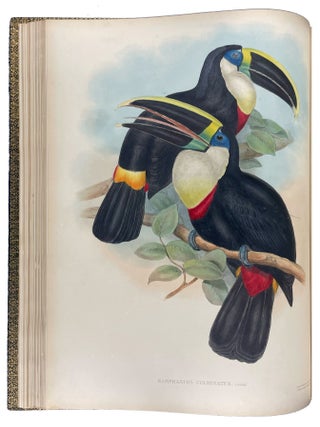 A Monograph of the Ramphastidae, or Family of Toucans