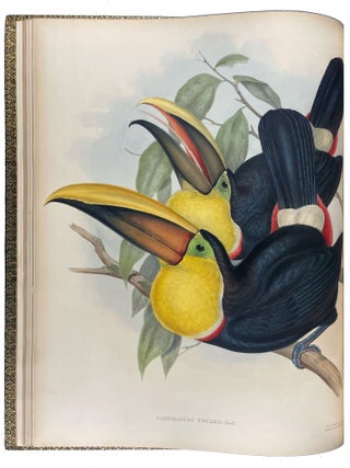 A Monograph of the Ramphastidae, or Family of Toucans
