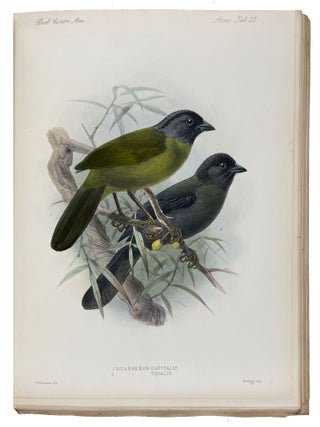 Biologia Centrali-Americana: Aves. Vols. I-IV