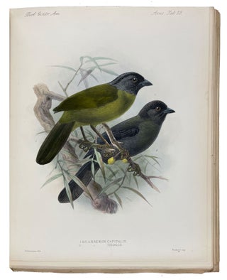 Biologia Centrali-Americana: Aves. Vols. I-IV