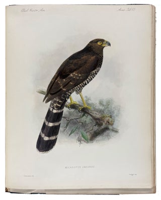 Biologia Centrali-Americana: Aves. Vols. I-IV