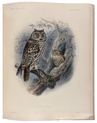Biologia Centrali-Americana: Aves. Vols. I-IV