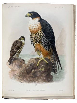 Item #41501 Biologia Centrali-Americana: Aves. Vols. I-IV. Frederick DuCane GODMAN, John Gerrard...