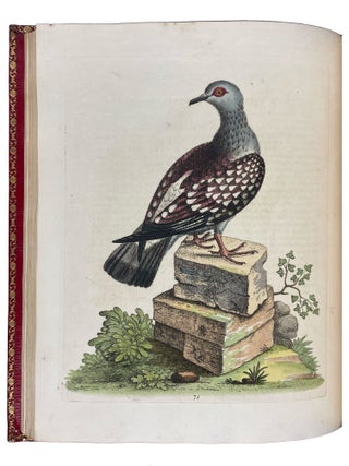 A Natural History of Uncommon Birds, and of Some Other Rare and Undescribed Animals... [With:] Gleanings of Natural History Exhibiting Figures of Quadrupeds, Birds, Insects, Plants, &c...