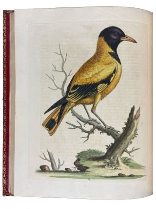 A Natural History of Uncommon Birds, and of Some Other Rare and Undescribed Animals... [With:] Gleanings of Natural History Exhibiting Figures of Quadrupeds, Birds, Insects, Plants, &c...