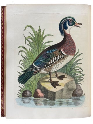 A Natural History of Uncommon Birds, and of Some Other Rare and Undescribed Animals... [With:] Gleanings of Natural History Exhibiting Figures of Quadrupeds, Birds, Insects, Plants, &c...