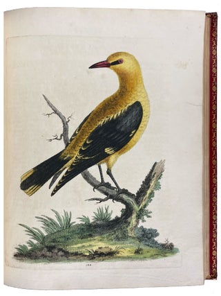 A Natural History of Uncommon Birds, and of Some Other Rare and Undescribed Animals... [With:] Gleanings of Natural History Exhibiting Figures of Quadrupeds, Birds, Insects, Plants, &c...