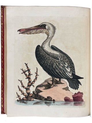 A Natural History of Uncommon Birds, and of Some Other Rare and Undescribed Animals... [With:] Gleanings of Natural History Exhibiting Figures of Quadrupeds, Birds, Insects, Plants, &c...