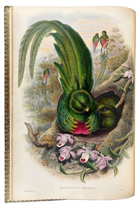 Item #41942 A Monograph of the Trogonidae, or Family of Trogons. John GOULD
